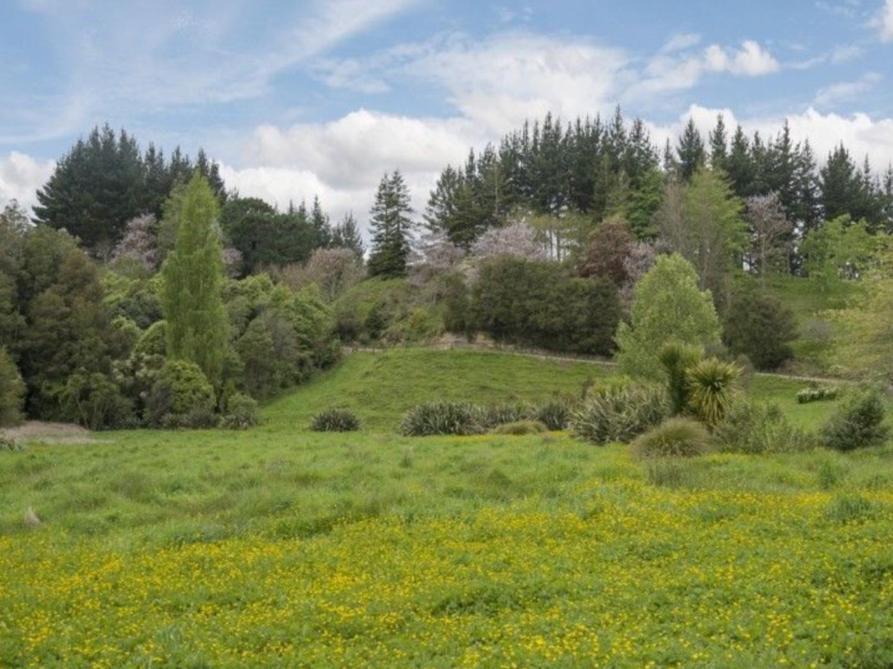 Above The River Karapiro Bed & Breakfast Luaran gambar