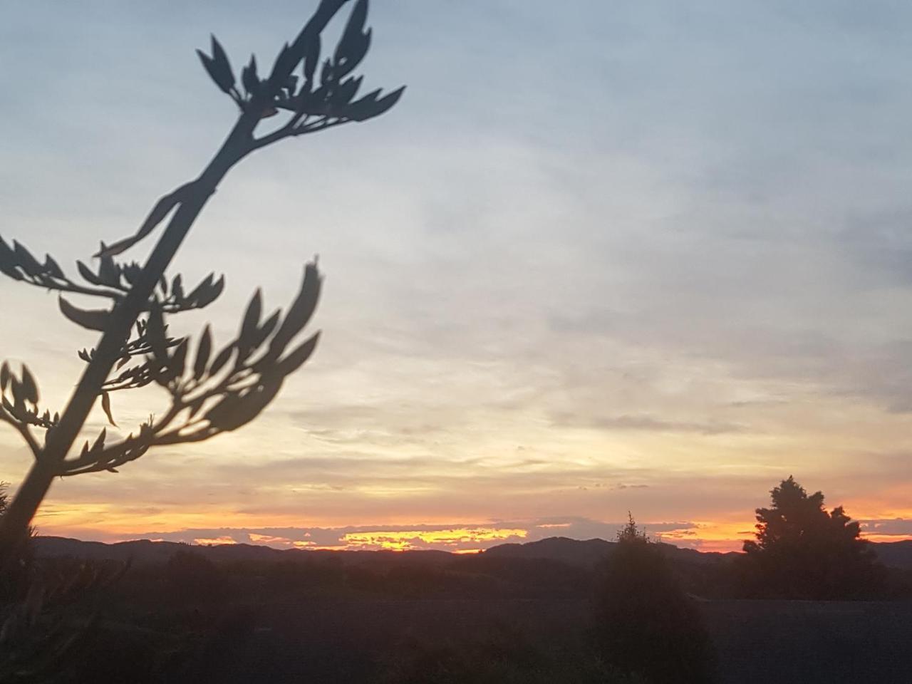 Above The River Karapiro Bed & Breakfast Luaran gambar