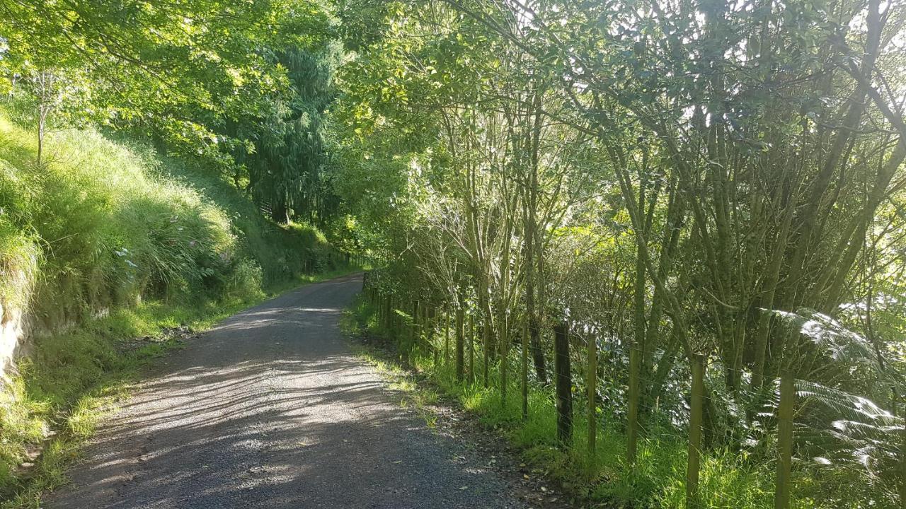 Above The River Karapiro Bed & Breakfast Luaran gambar